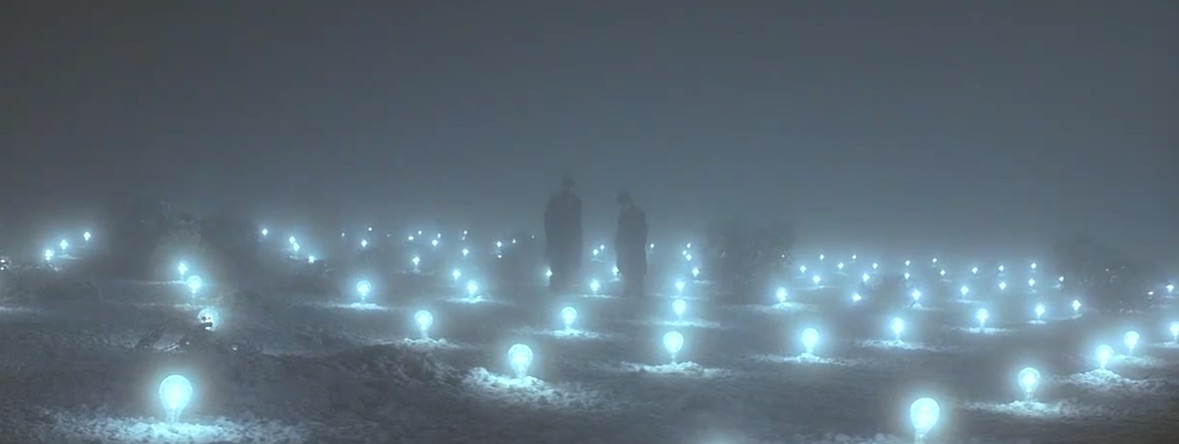 tesla_field_of_lights.jpg